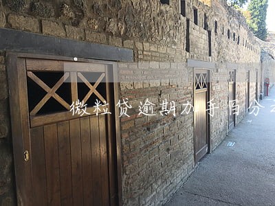 微粒贷逾期加手百分之50利息 微粒贷逾期加手百分之50利息