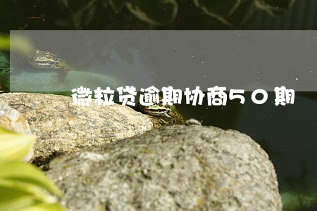 微粒贷逾期协商50期 微粒贷逾期协商50期