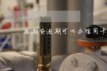 微粒贷逾期可以办信用卡吗 微粒贷逾期可以办信用卡吗