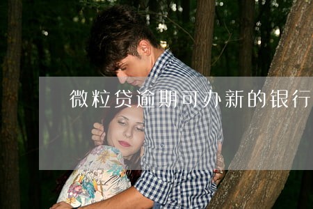 微粒贷逾期可办新的银行卡吗 微粒贷逾期可办新的银行卡吗