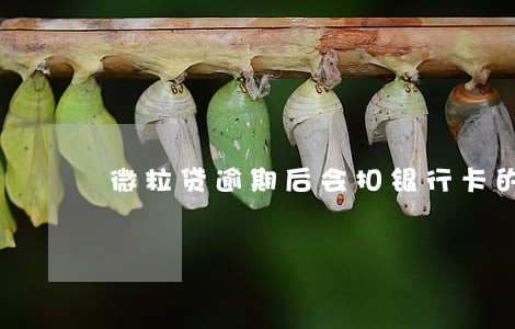 微粒贷逾期后会扣银行卡的钱吗 微粒贷逾期后会扣银行卡的钱吗