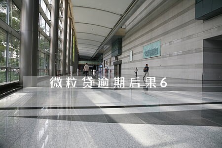 微粒贷逾期后果6 微粒贷逾期后果6