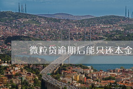 微粒贷逾期后能只还本金吗 微粒贷逾期后能只还本金吗