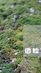 微粒贷逾期后银行卡代扣 微粒贷逾期后银行卡代扣