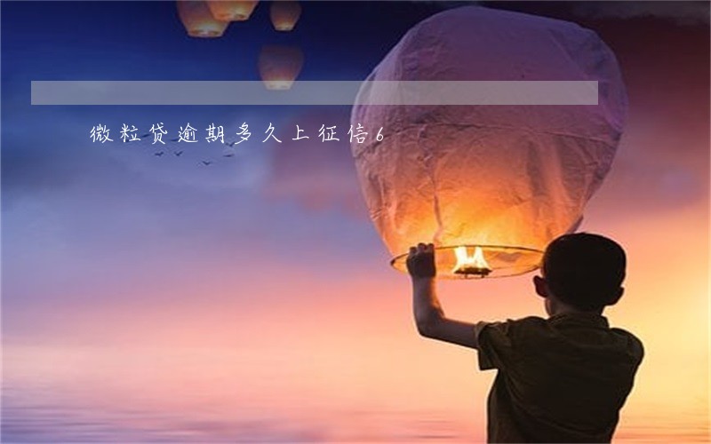 微粒贷逾期多久上征信6