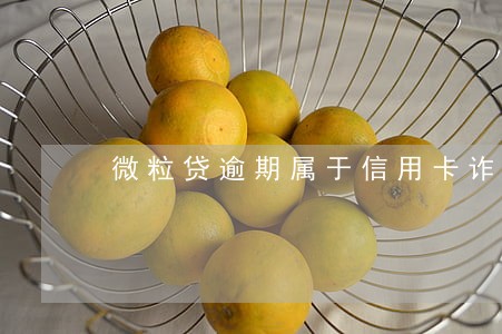 微粒贷逾期属于信用卡诈骗吗 微粒贷逾期属于信用卡诈骗吗