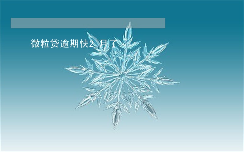 微粒贷逾期快2月了 微粒贷逾期快2月了