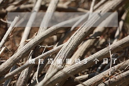 微粒贷逾期快3个月了 微粒贷逾期快3个月了
