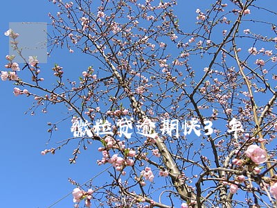 微粒贷逾期快3年 微粒贷逾期快3年