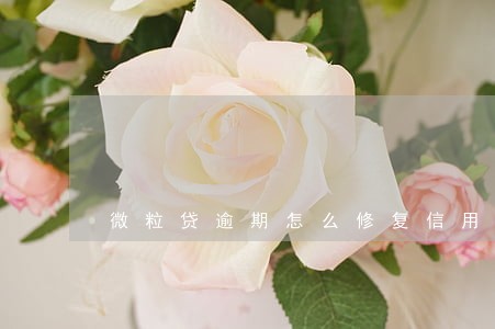 微粒贷逾期怎么修复信用 微粒贷逾期怎么修复信用