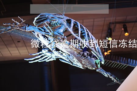 微粒贷逾期收到短信冻结银行卡 微粒贷逾期收到短信冻结银行卡