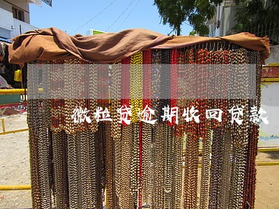 微粒贷逾期收回贷款 微粒贷逾期收回贷款