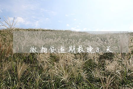 微粒贷逾期最晚8天