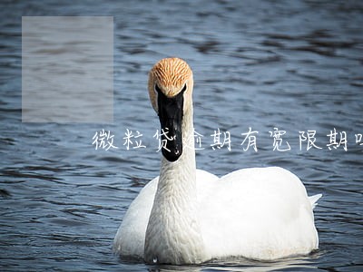 微粒贷逾期有宽限期吗6 微粒贷逾期有宽限期吗6