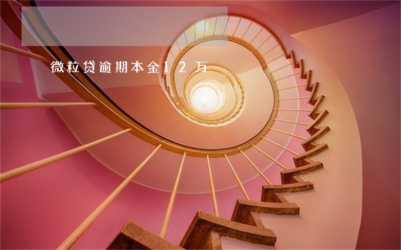 微粒贷逾期本金12万 微粒贷逾期本金12万