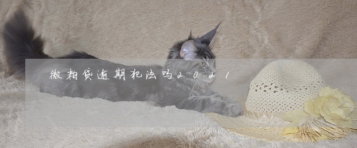 微粒贷逾期犯法吗2021 微粒贷逾期犯法吗2021