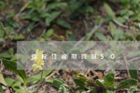 微粒贷逾期罚息50 微粒贷逾期罚息50