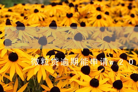 微粒贷逾期能申请w2000吗 微粒贷逾期能申请w2000吗