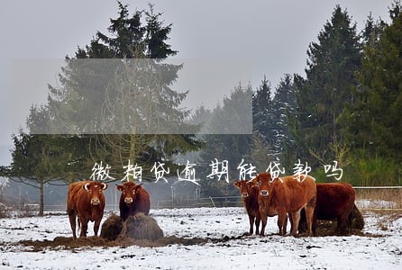 微粒贷逾期能贷款吗