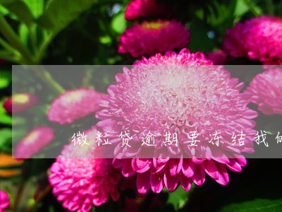 微粒贷逾期要冻结我的银行卡