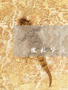 微粒贷逾期说3点前不还 微粒贷逾期说3点前不还