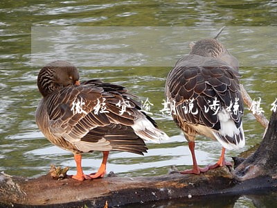 微粒贷逾期说涉嫌银行诈骗 微粒贷逾期说涉嫌银行诈骗