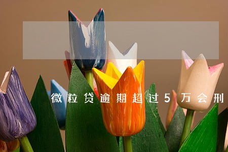 微粒贷逾期超过5万会刑事吗 微粒贷逾期超过5万会刑事吗