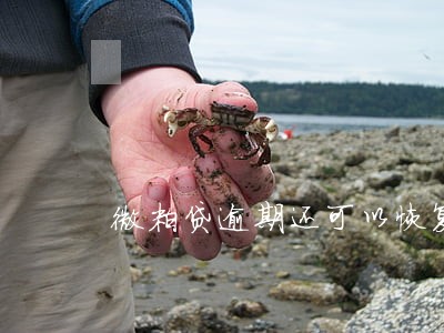 微粒贷逾期还可以恢复额度吗6 微粒贷逾期还可以恢复额度吗6