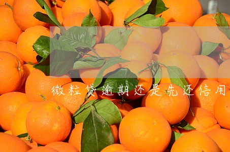 微粒贷逾期还是先还信用卡 微粒贷逾期还是先还信用卡