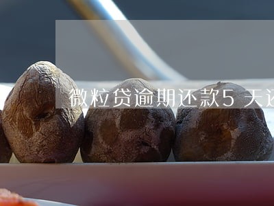 微粒贷逾期还款5天还能贷吗 微粒贷逾期还款5天还能贷吗