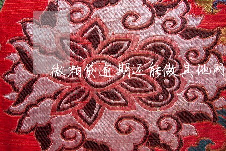 微粒贷逾期还能做其他网贷吗 微粒贷逾期还能做其他网贷吗