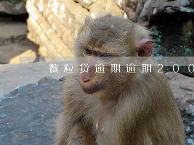 微粒贷逾期逾期200多天了 微粒贷逾期逾期200多天了