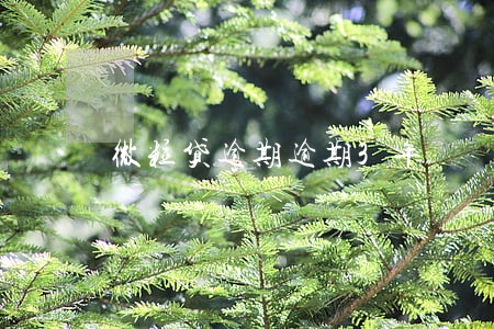 微粒贷逾期逾期3年 微粒贷逾期逾期3年