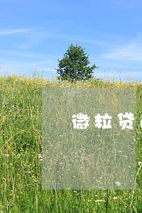 微粒贷逾期逾期5900 微粒贷逾期逾期5900