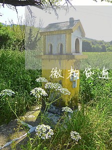 微粒贷逾期额度不能使用6 微粒贷逾期额度不能使用6