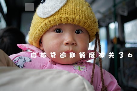微粒贷逾期额度被关了6 微粒贷逾期额度被关了6