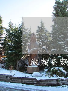 微粒贷额度不能用逾期6 微粒贷额度不能用逾期6