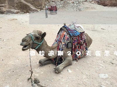 微粒逾期20天会怎么样 微粒逾期20天会怎么样