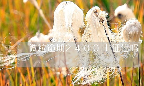 微粒逾期2400上征信吗 微粒逾期2400上征信吗