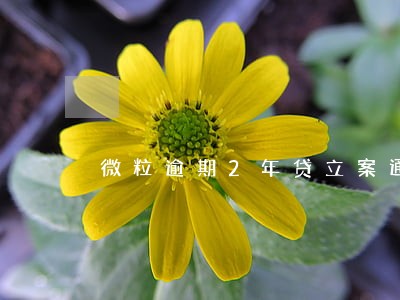 微粒逾期2年贷立案通知 微粒逾期2年贷立案通知