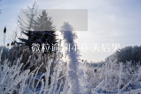 微粒逾期40天后果 微粒逾期40天后果