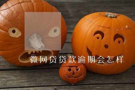 微网贷贷款逾期会怎样 微网贷贷款逾期会怎样