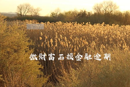 微财富石投金融逾期 微财富石投金融逾期