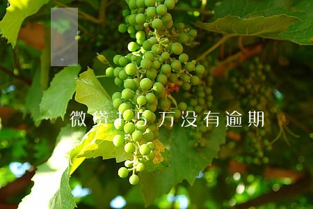微贷15万没有逾期 微贷15万没有逾期
