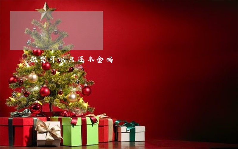微贷可以只还本金吗