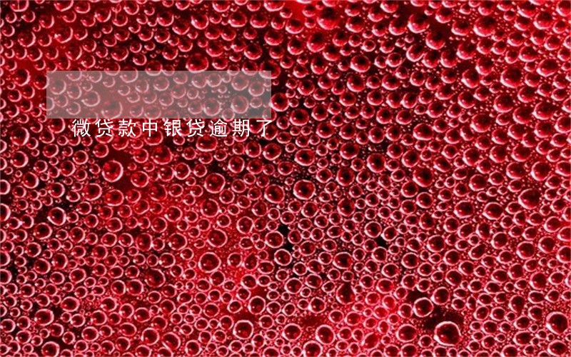 微贷款中银贷逾期了 微贷款中银贷逾期了