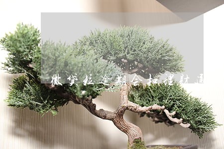微贷粒逾期会扣理财通的钱吗 微贷粒逾期会扣理财通的钱吗