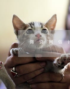 微贷网估计逾期几年 微贷网估计逾期几年