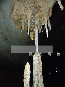 微贷网信用贷逾期会拖车吗 微贷网信用贷逾期会拖车吗