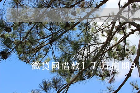 微贷网借款17万逾期3年 微贷网借款17万逾期3年
